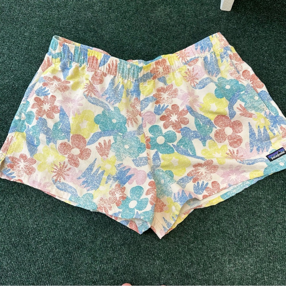 Patagonia Baggies Shorts Sz L